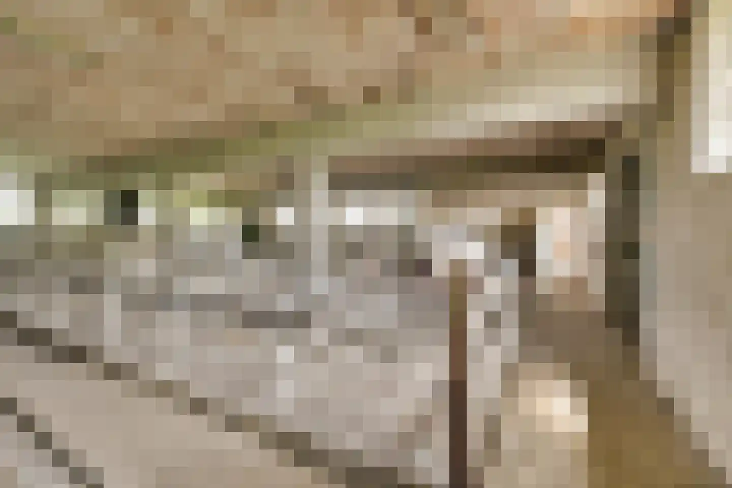 Achterdijk 38 Odijk thumbnail 24