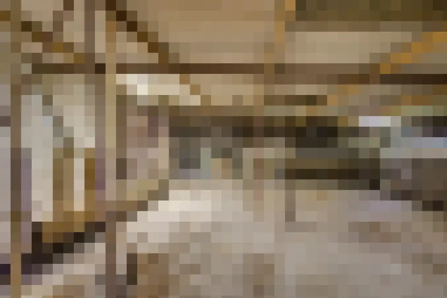 Achterdijk 38 Odijk thumbnail 26