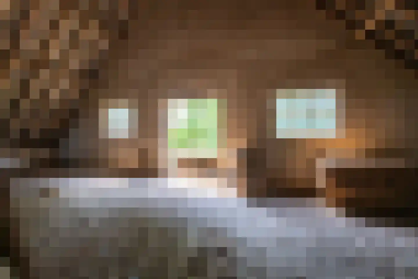 Achterdijk 38 Odijk thumbnail 28