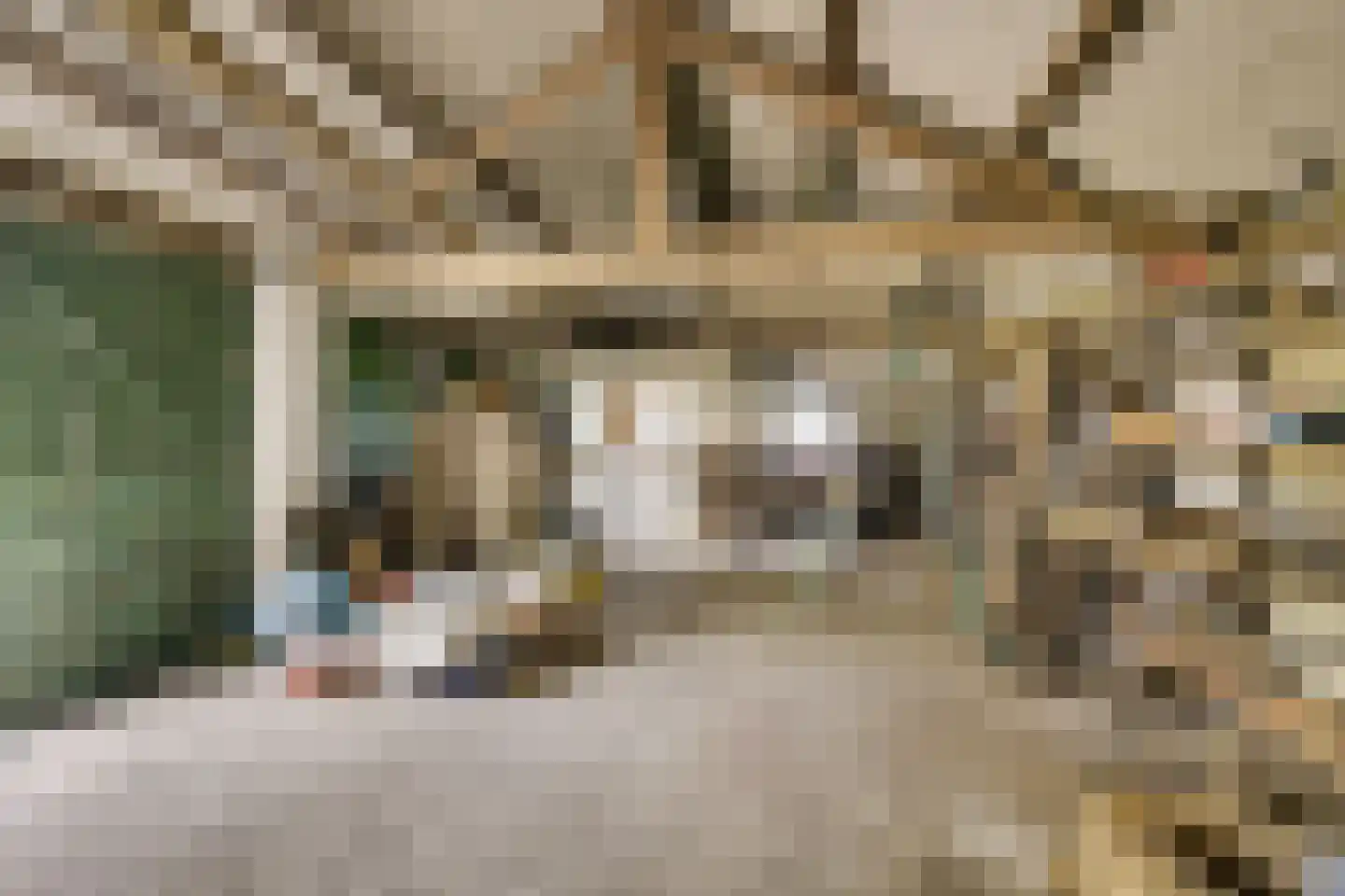 Achterdijk 38 Odijk thumbnail 30