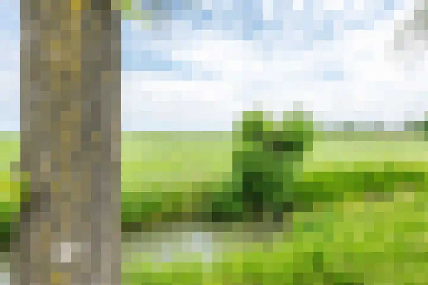 Achterdijk 38 Odijk thumbnail 33