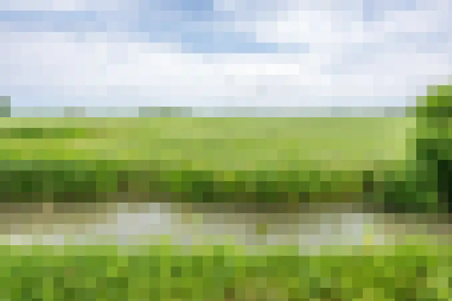 Achterdijk 38 Odijk thumbnail 34