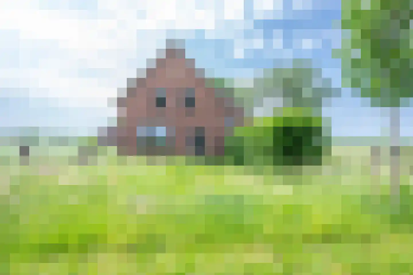 Achterdijk 38 Odijk thumbnail 36