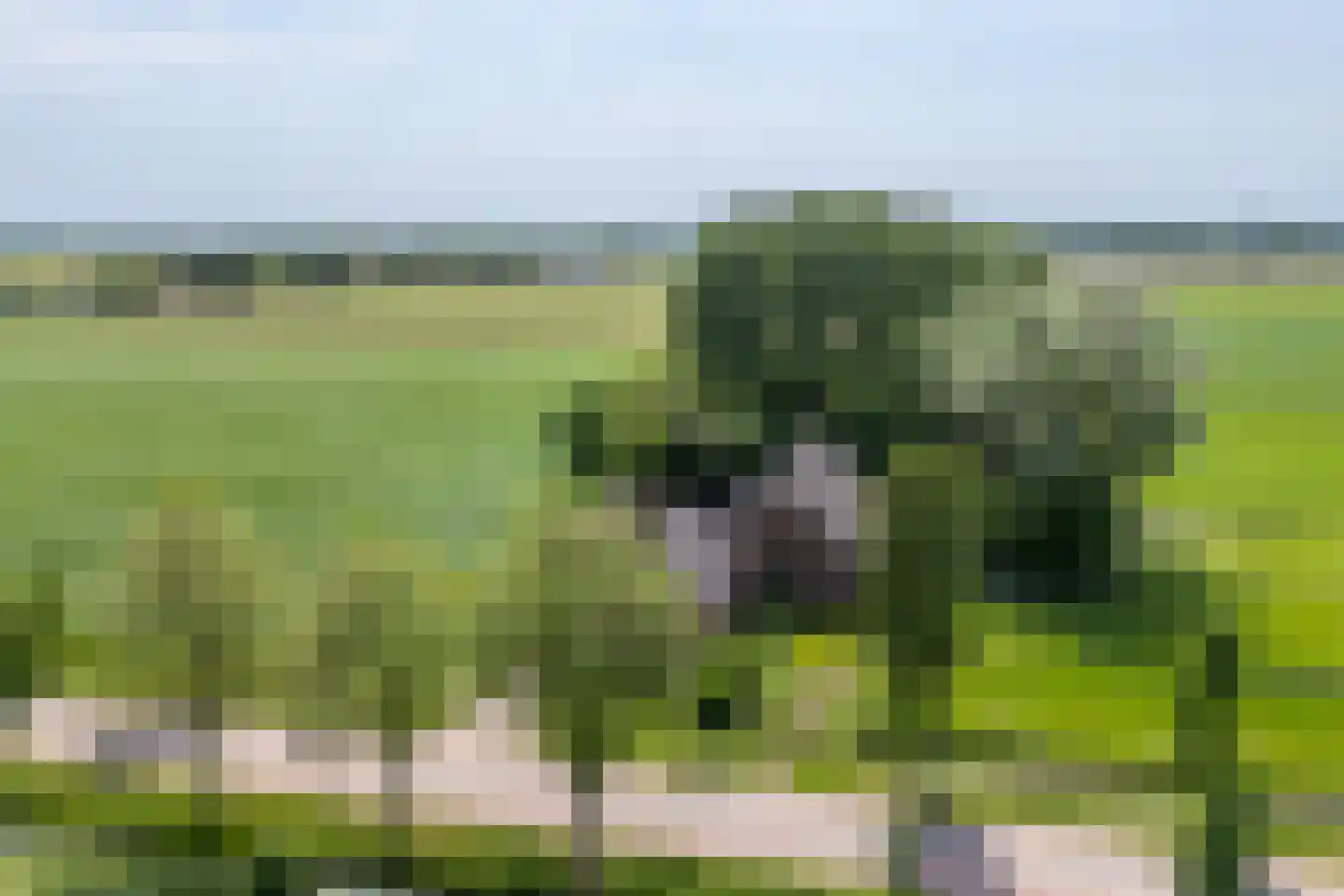 Achterdijk 38 Odijk thumbnail 39