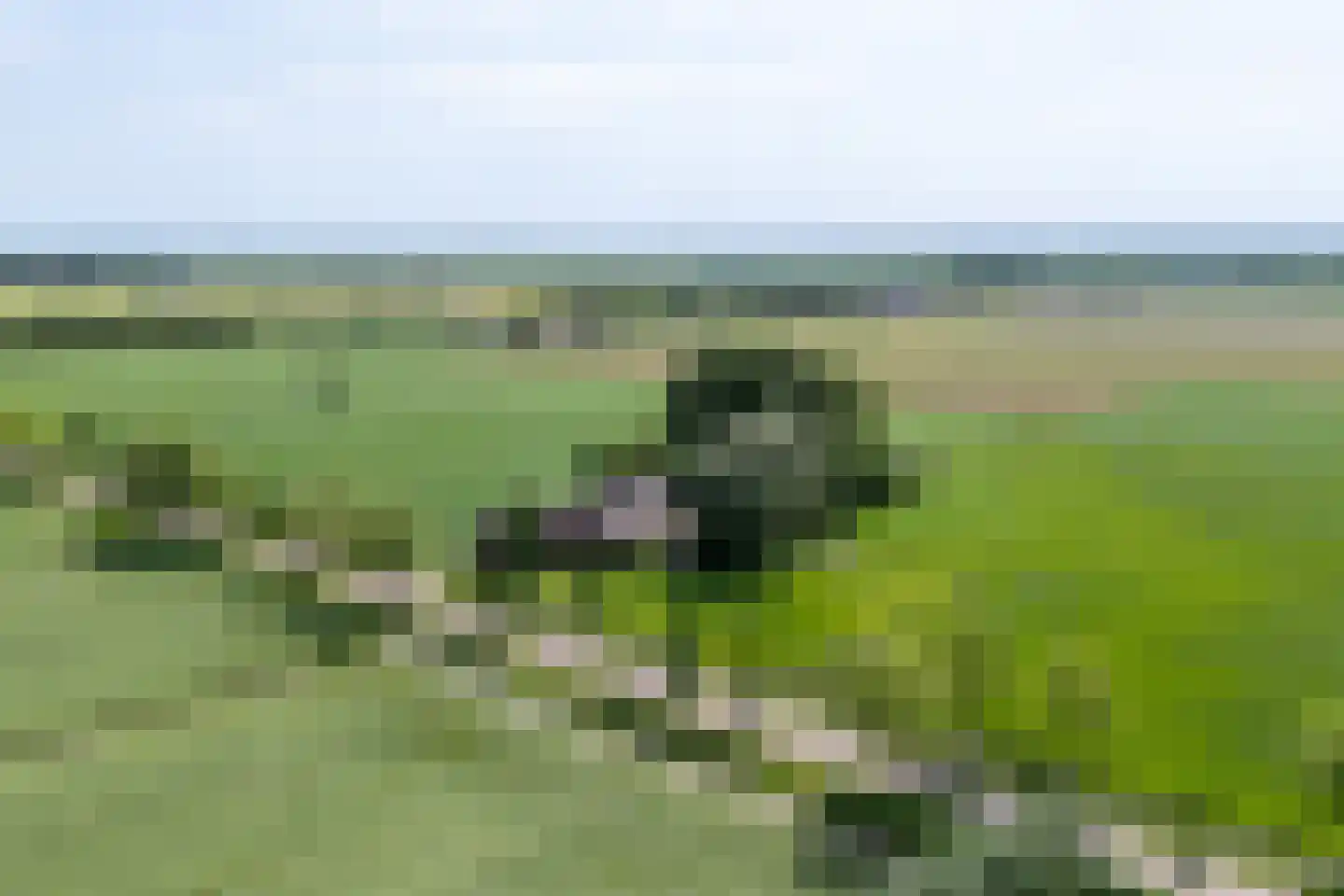 Achterdijk 38 Odijk thumbnail 40