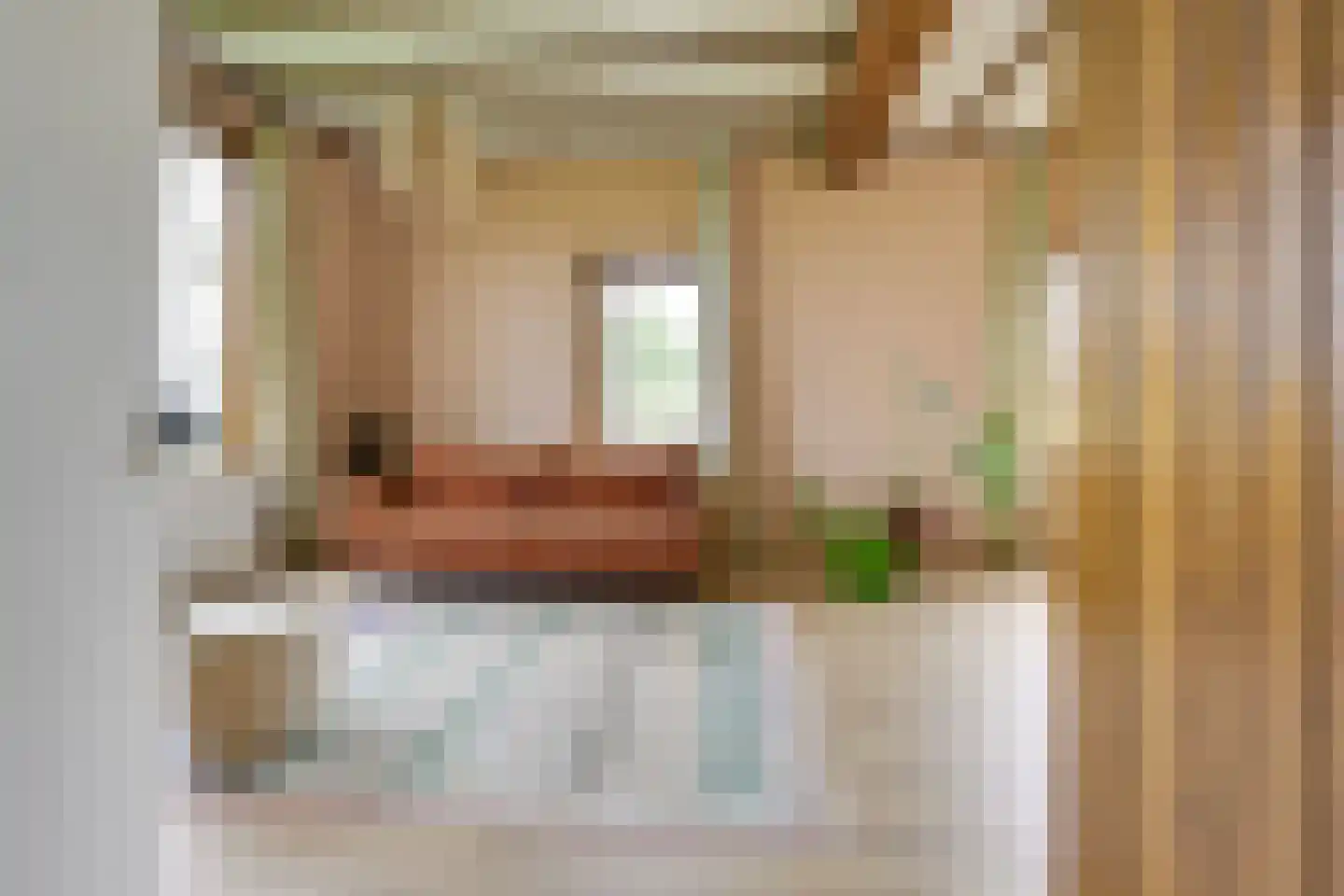 Achterdijk 38 Odijk thumbnail 6