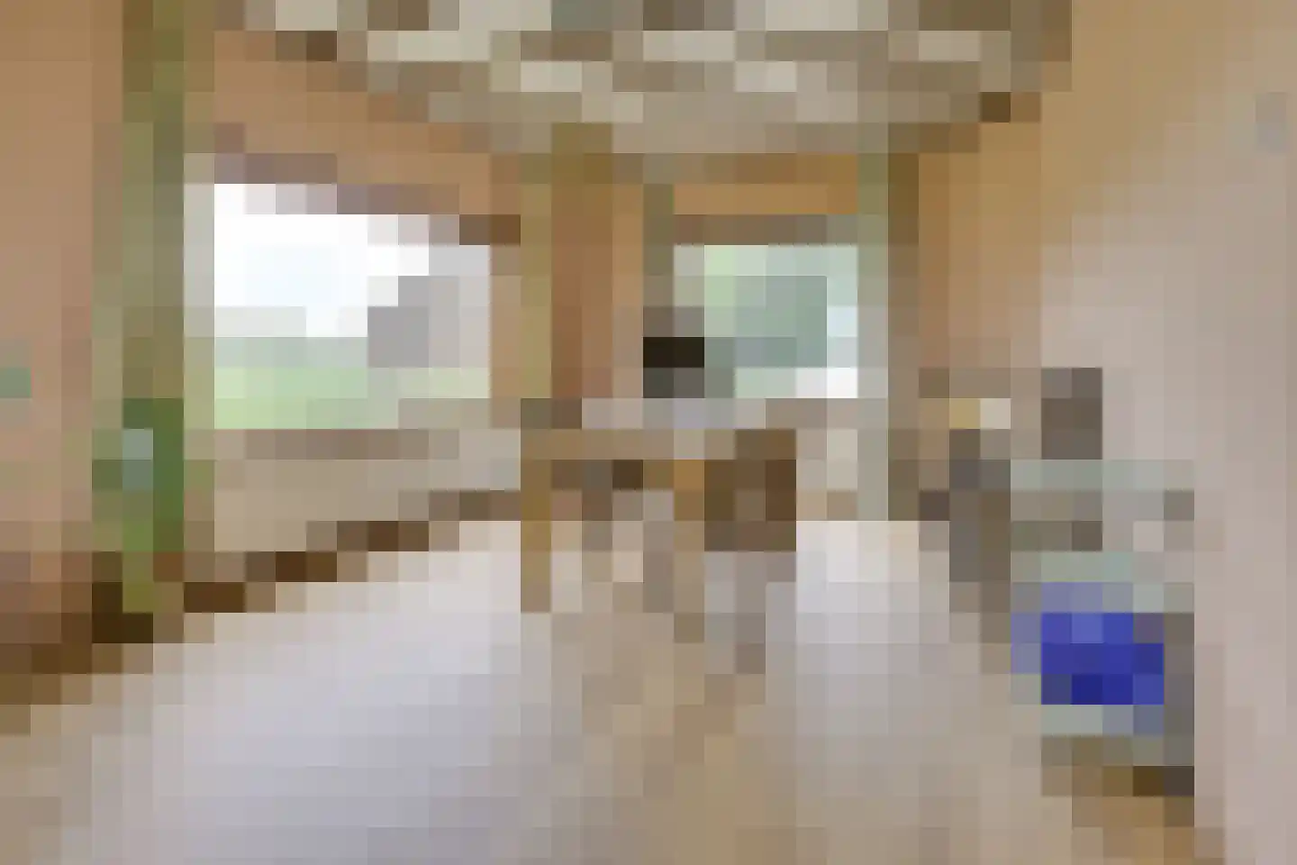 Achterdijk 38 Odijk thumbnail 8