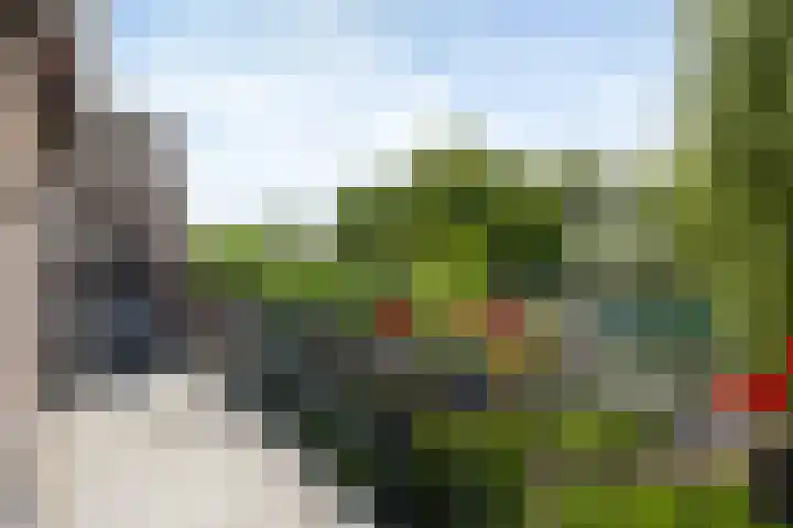 Achterdijk 4 Montfoort thumbnail 15