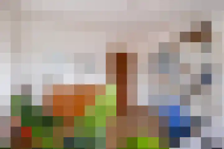 Achterdijk 4 Montfoort thumbnail 20