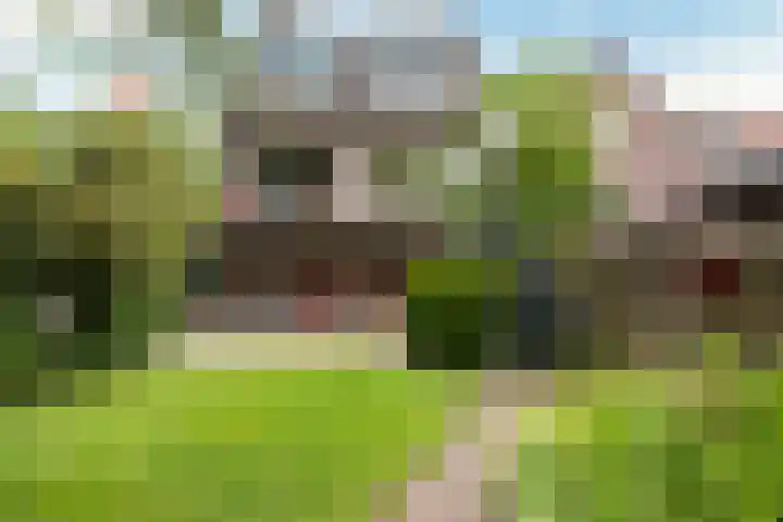 Achterdijk 4 Montfoort thumbnail 36