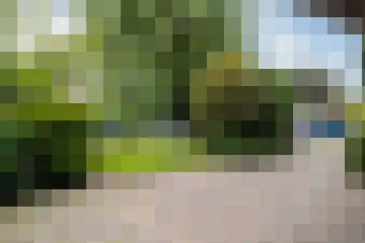 Achterdijk 4 Montfoort thumbnail 42