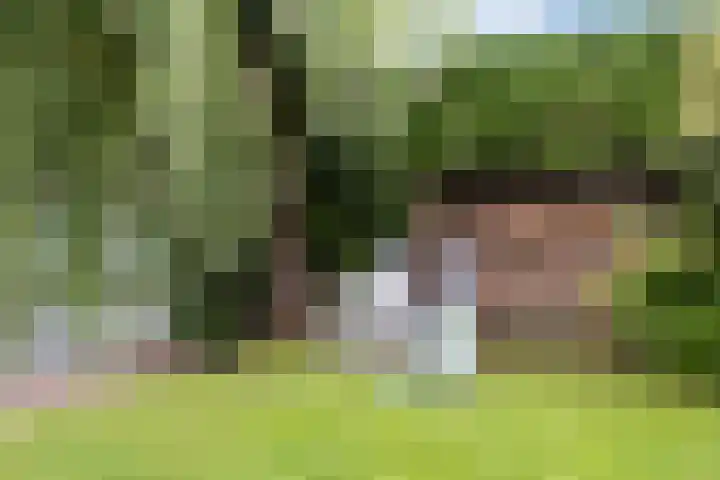 Achterdijk 4 Montfoort thumbnail 43