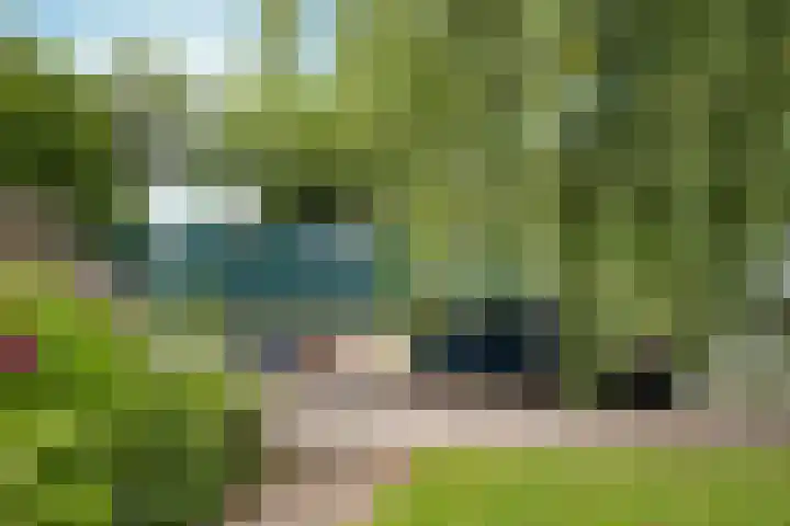 Achterdijk 4 Montfoort thumbnail 44