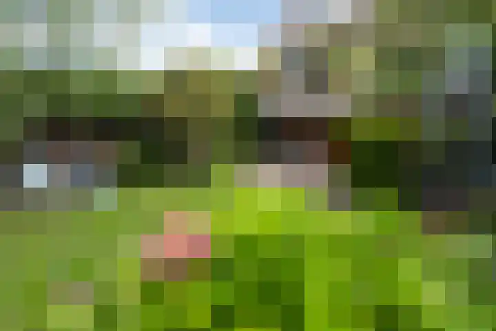 Achterdijk 4 Montfoort thumbnail 45
