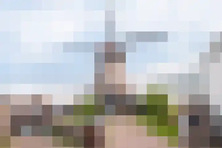 Achterdijk 4 Montfoort thumbnail 47