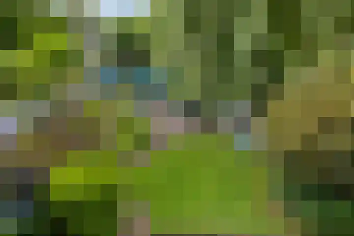 Achterdijk 4 Montfoort thumbnail 5
