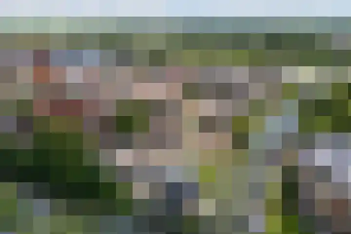 Achterdijk 4 Montfoort thumbnail 50