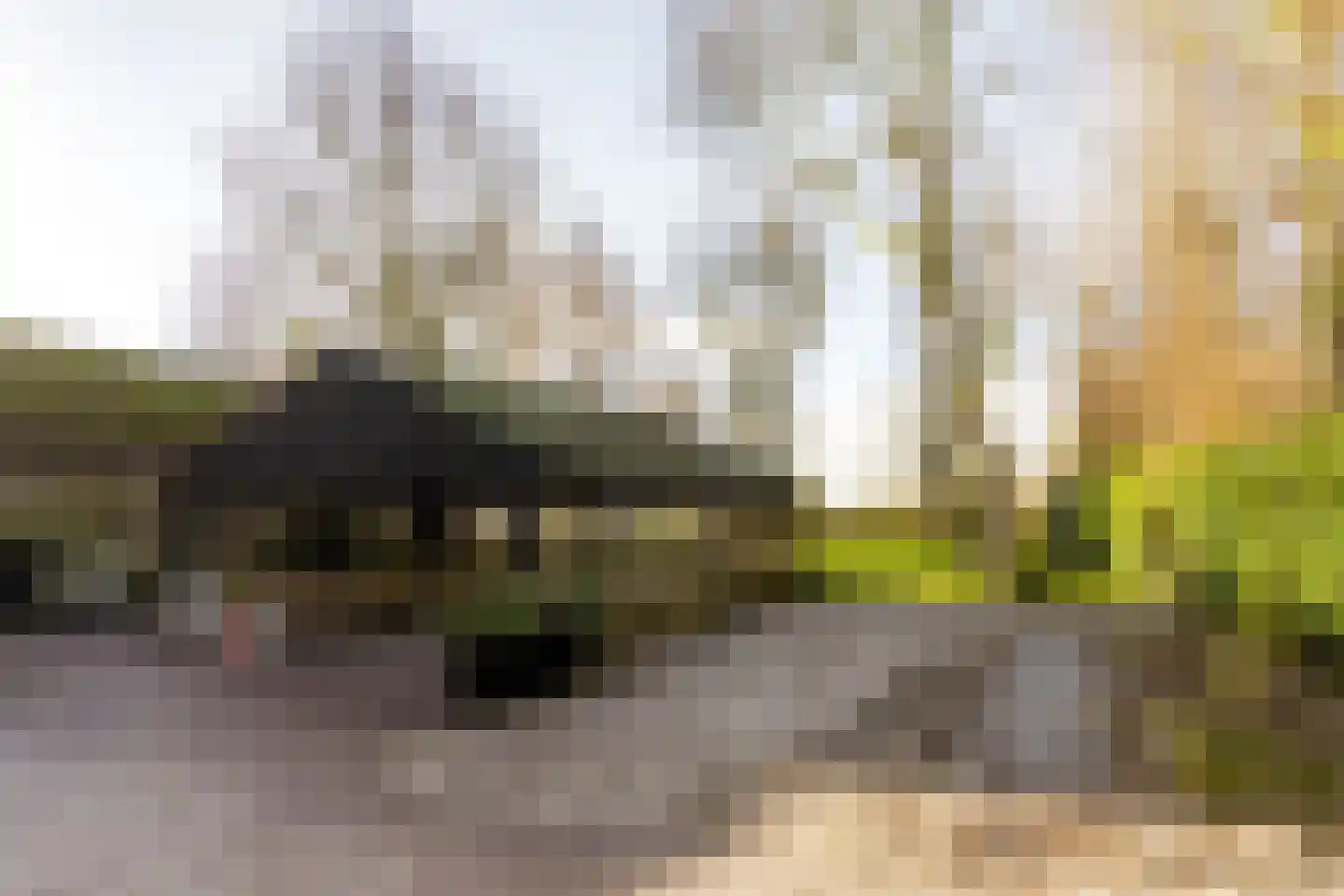 Achterdijk 40 Odijk thumbnail 12
