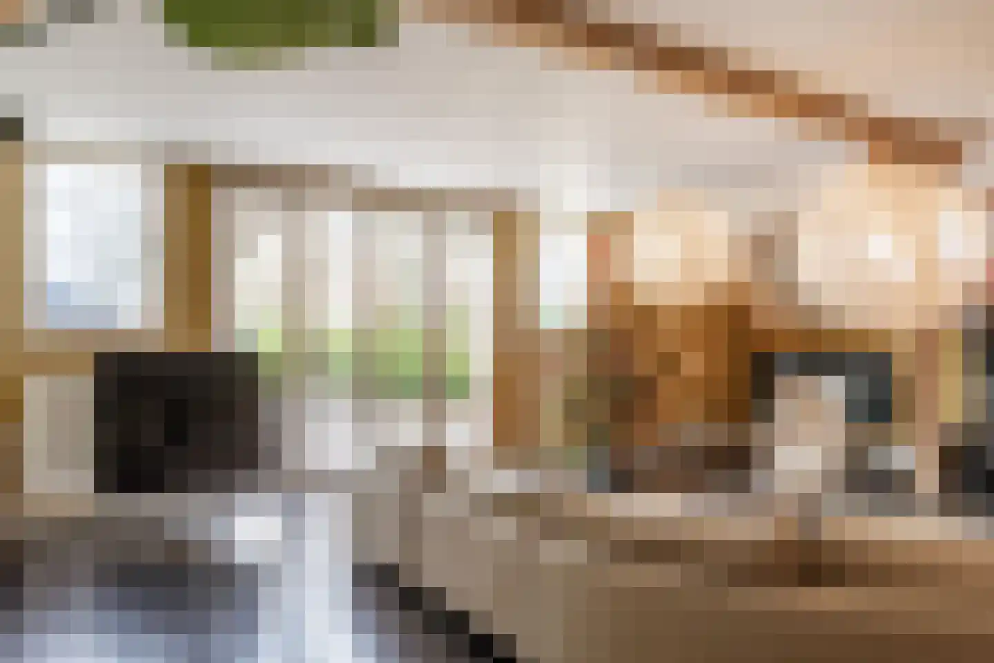 Achterdijk 40 Odijk thumbnail 17