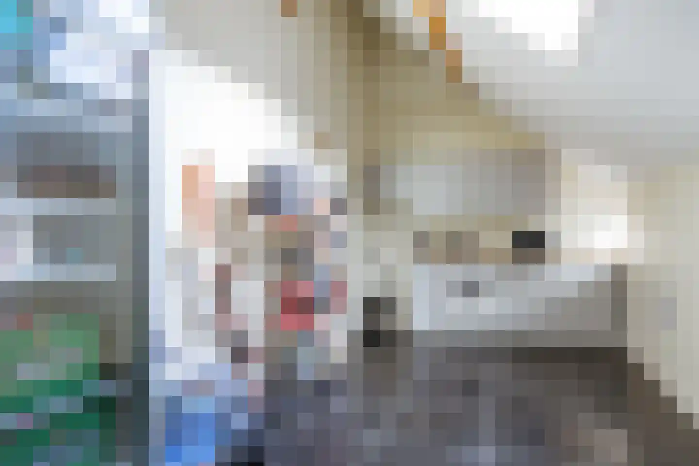Achterdijk 40 Odijk thumbnail 28