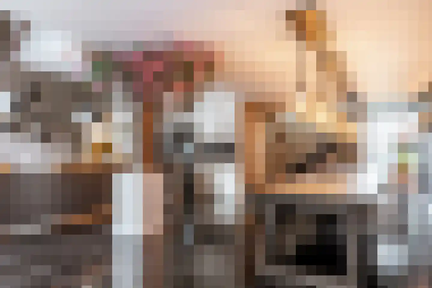 Achterdijk 40 Odijk thumbnail 30