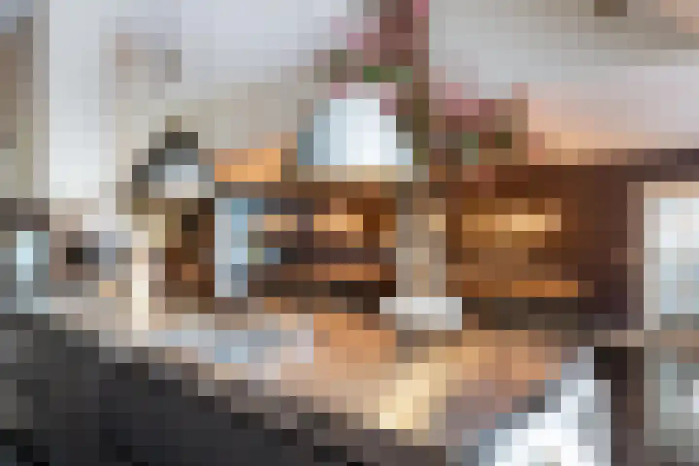 Achterdijk 40 Odijk thumbnail 35