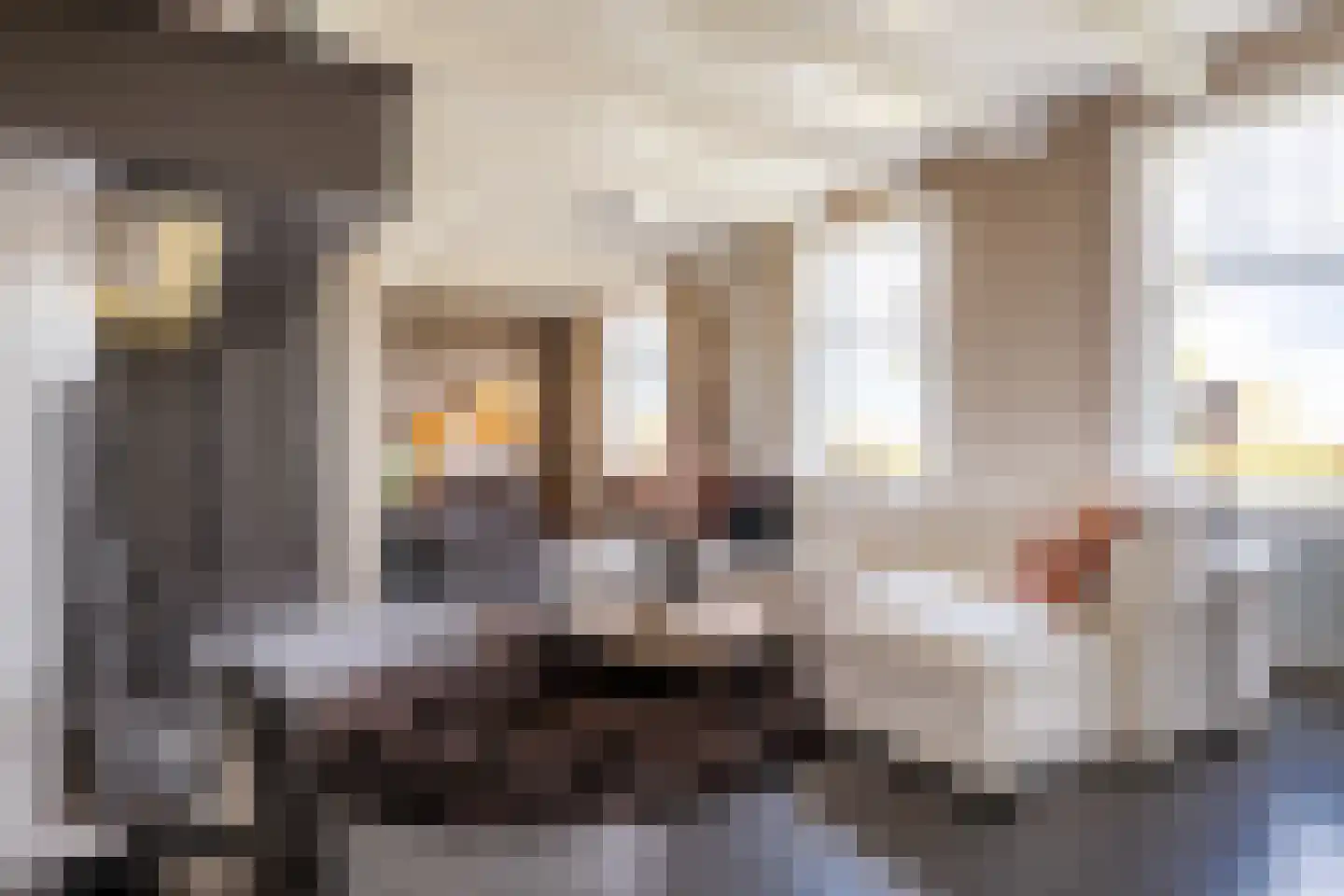 Achterdijk 40 Odijk thumbnail 46