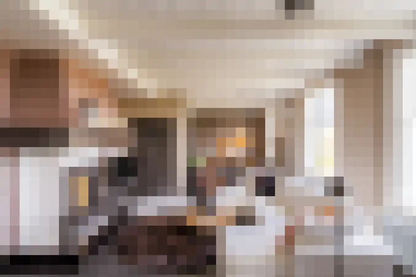 Achterdijk 40 Odijk thumbnail 47