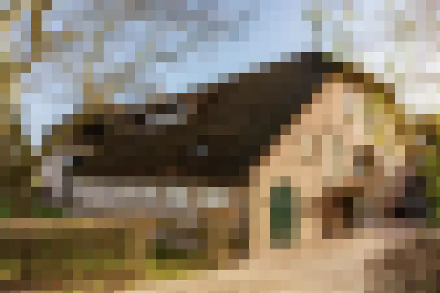 Achterdijk 40 Odijk thumbnail 5