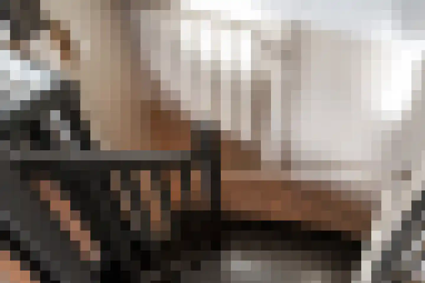 Achterdijk 40 Odijk thumbnail 58