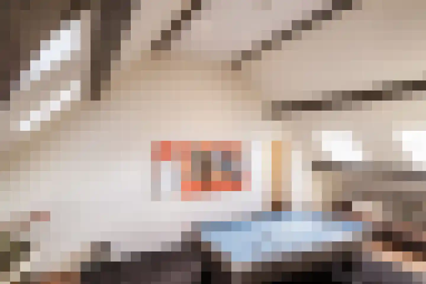 Achterdijk 40 Odijk thumbnail 60
