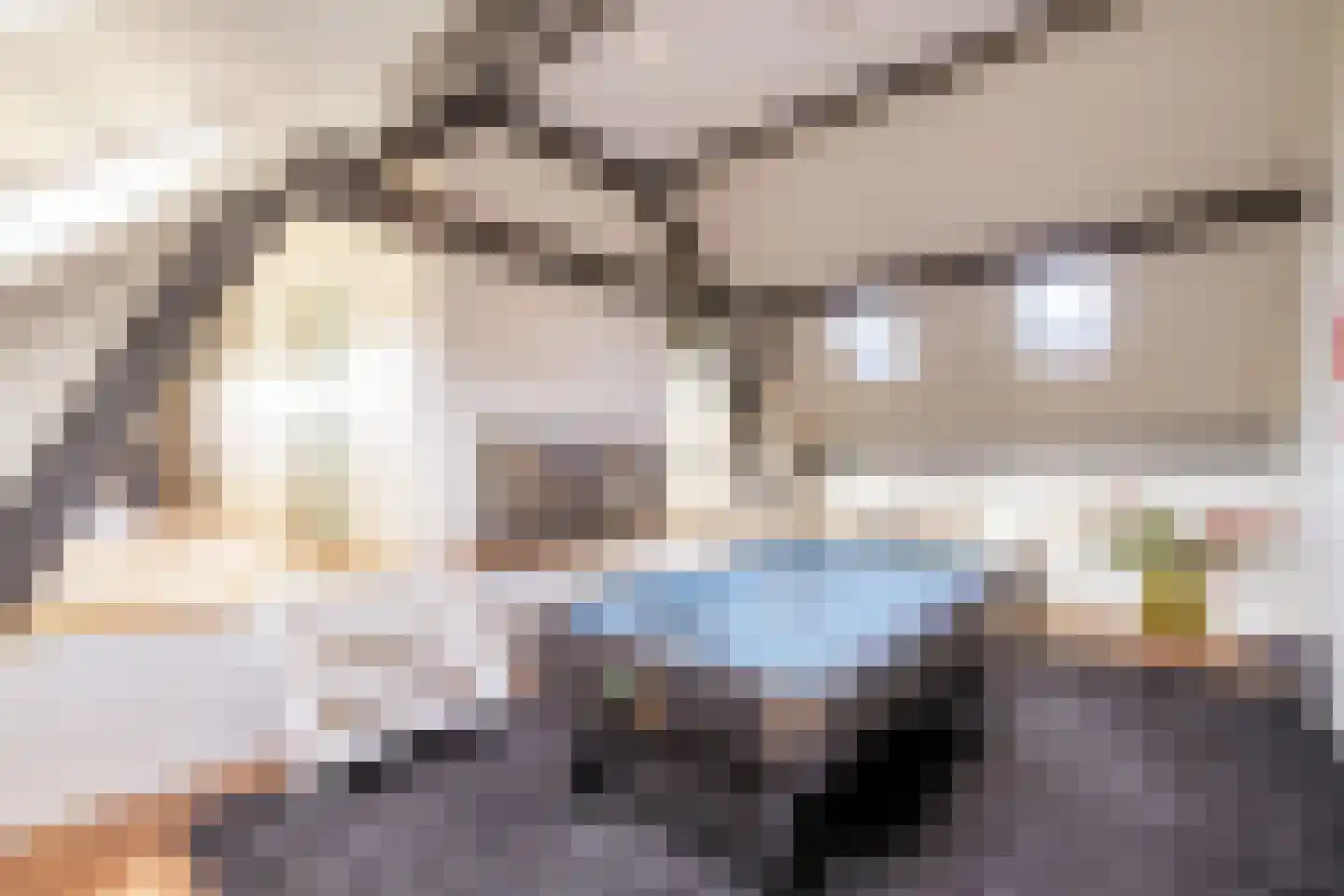 Achterdijk 40 Odijk thumbnail 61