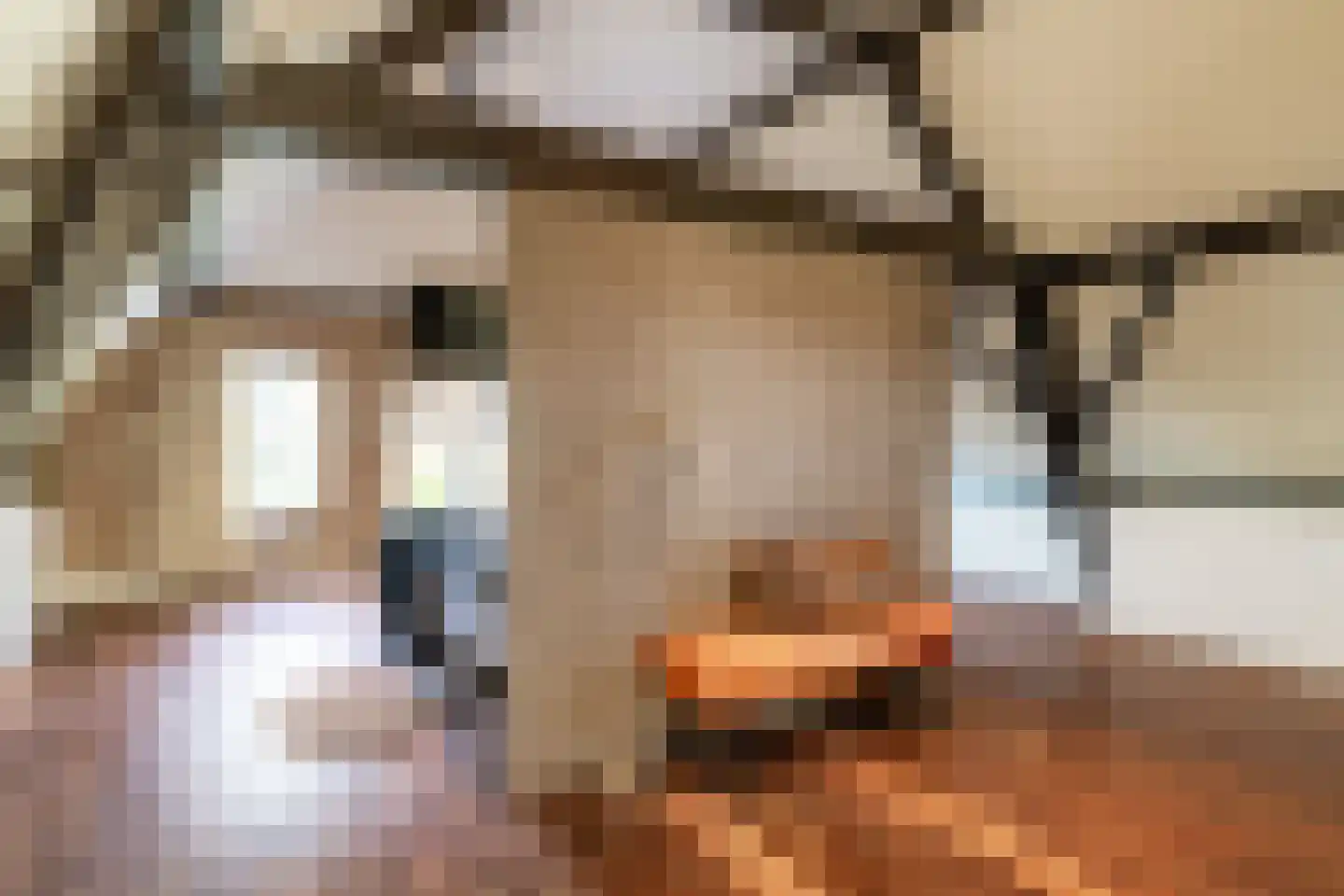 Achterdijk 40 Odijk thumbnail 63