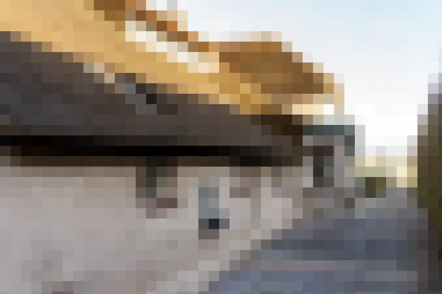 Achterdijk 40 Odijk thumbnail 8