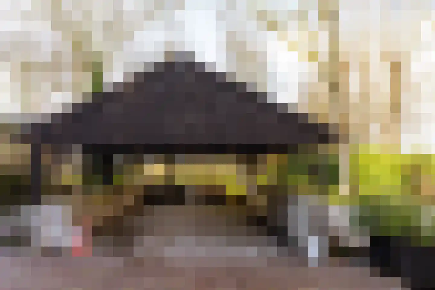 Achterdijk 40 Odijk thumbnail 89