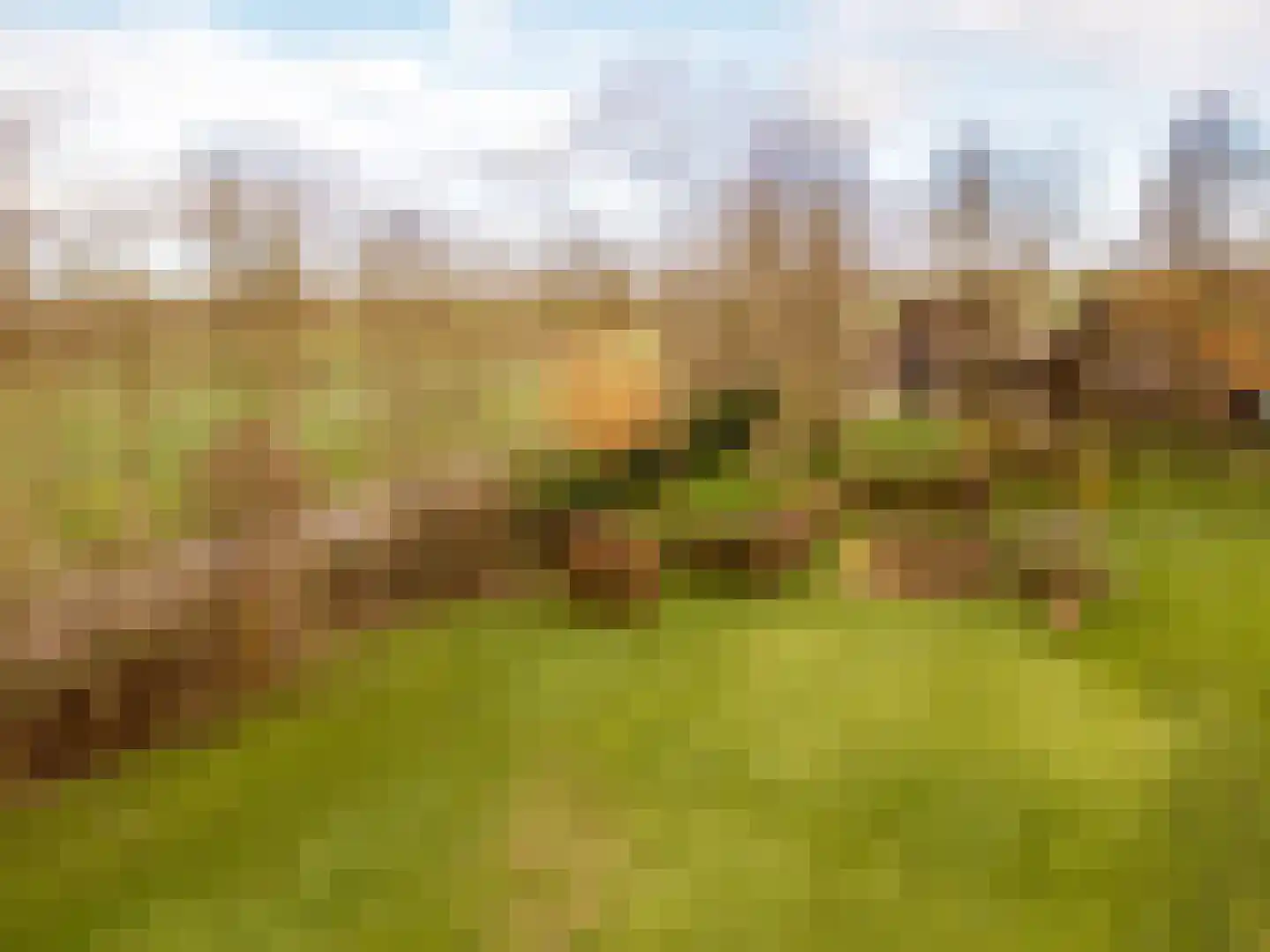 Achterdijk 40 Odijk thumbnail 90
