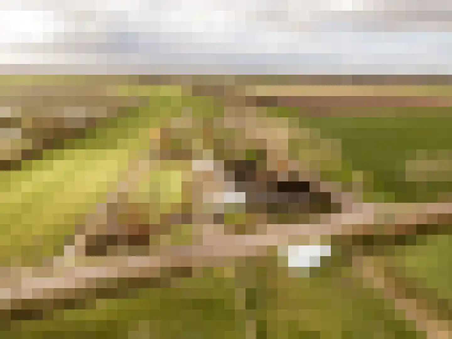 Achterdijk 40 Odijk thumbnail 91