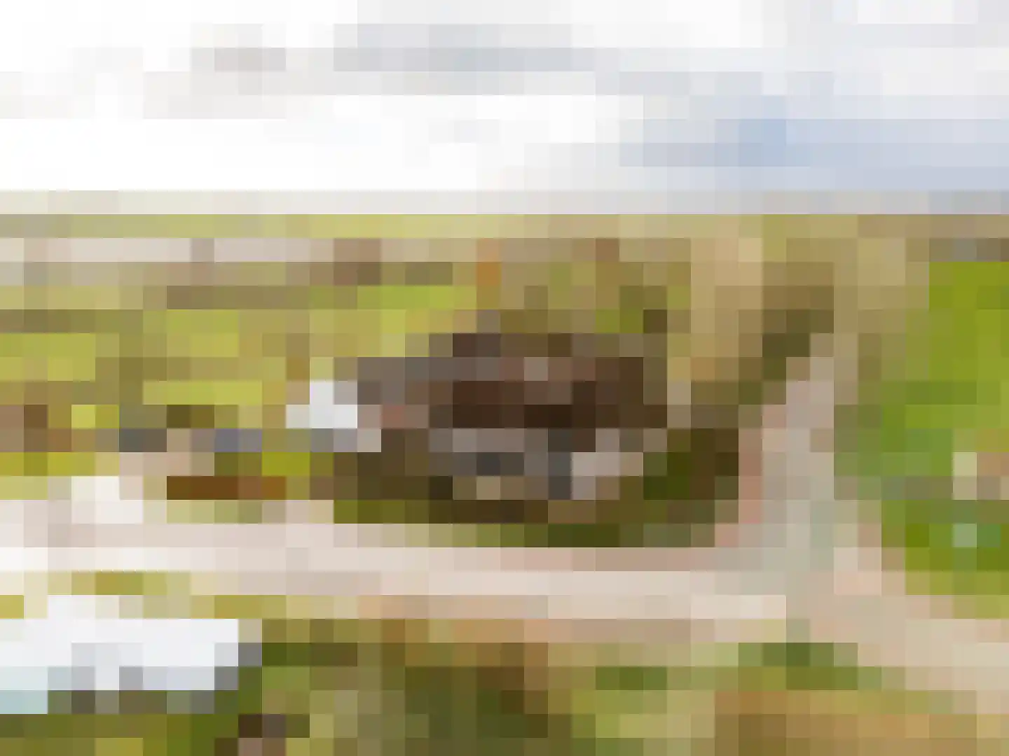 Achterdijk 40 Odijk thumbnail 92