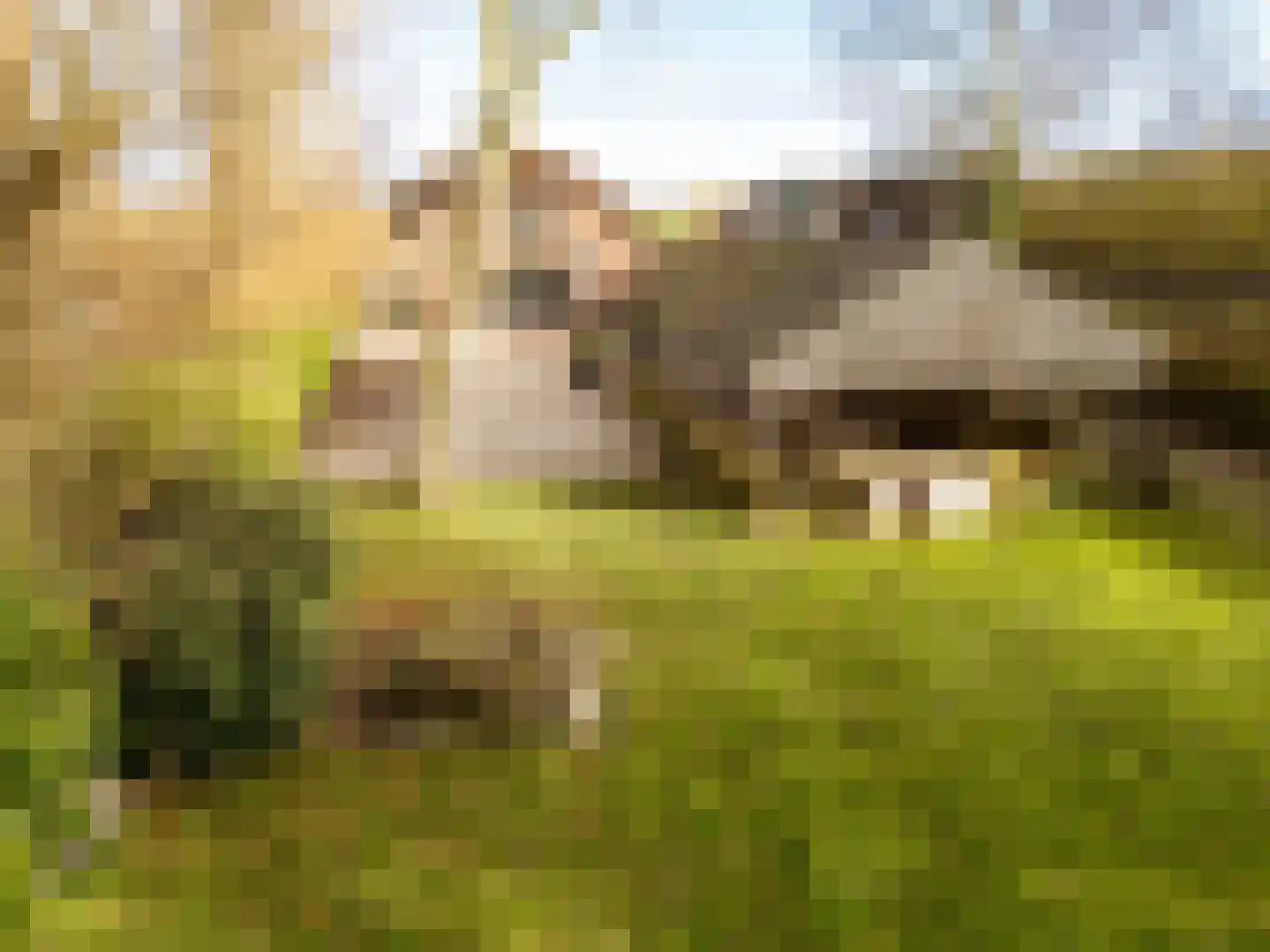 Achterdijk 40 Odijk thumbnail 93