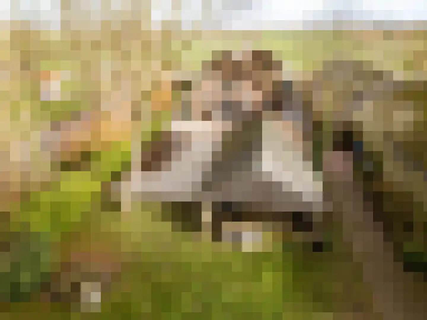 Achterdijk 40 Odijk thumbnail 94