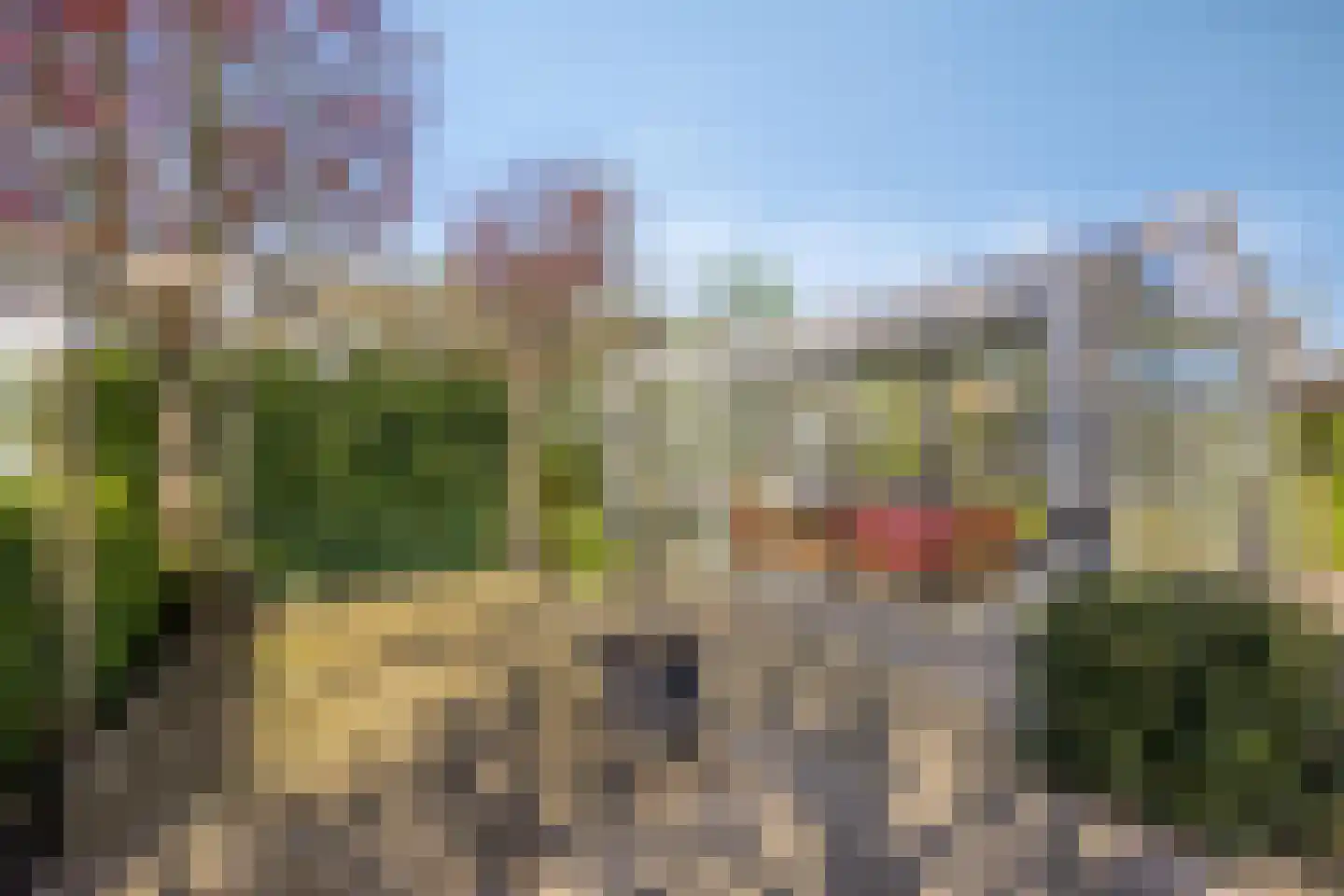 Achterdijk 44 Vierpolders thumbnail 39