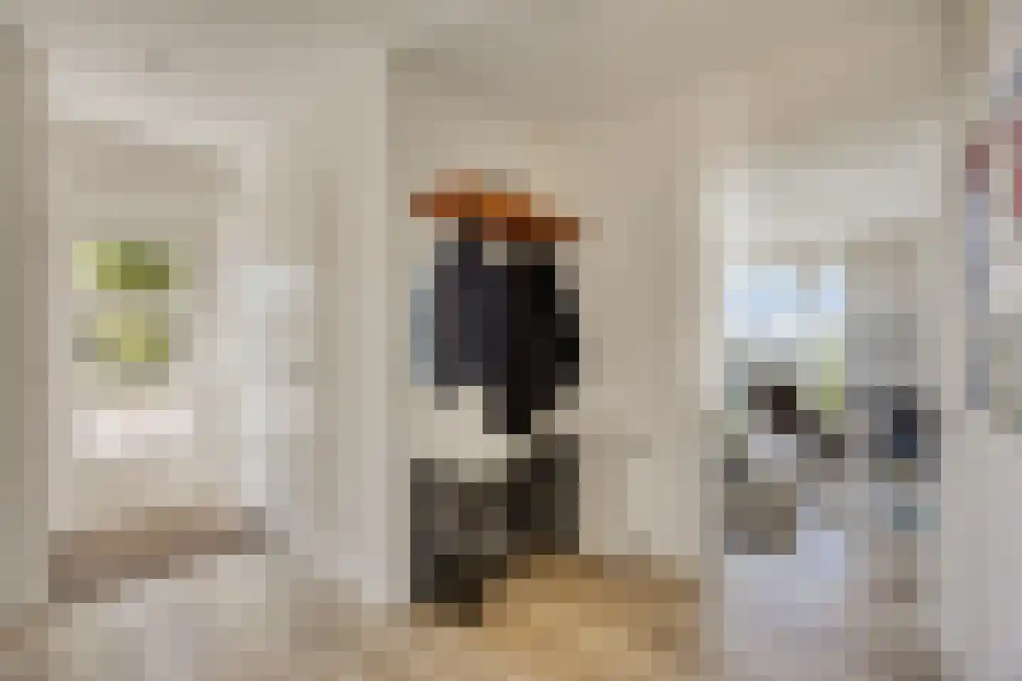 Achterdijk 44 Vierpolders thumbnail 8