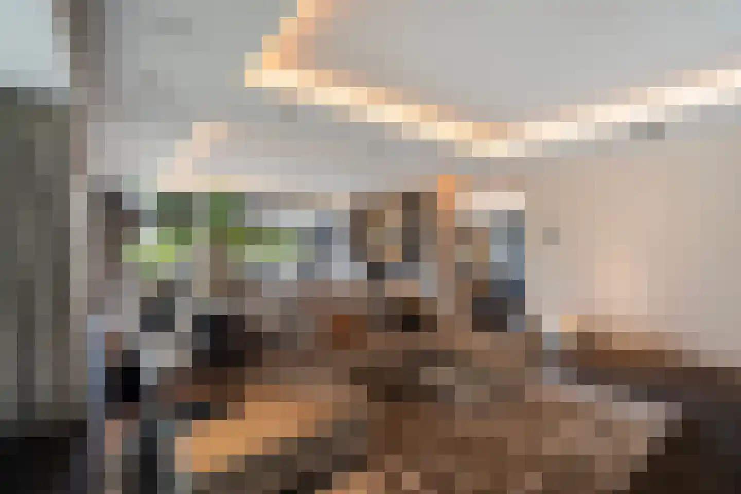 Achterdijk 5 b Rhoon thumbnail 10