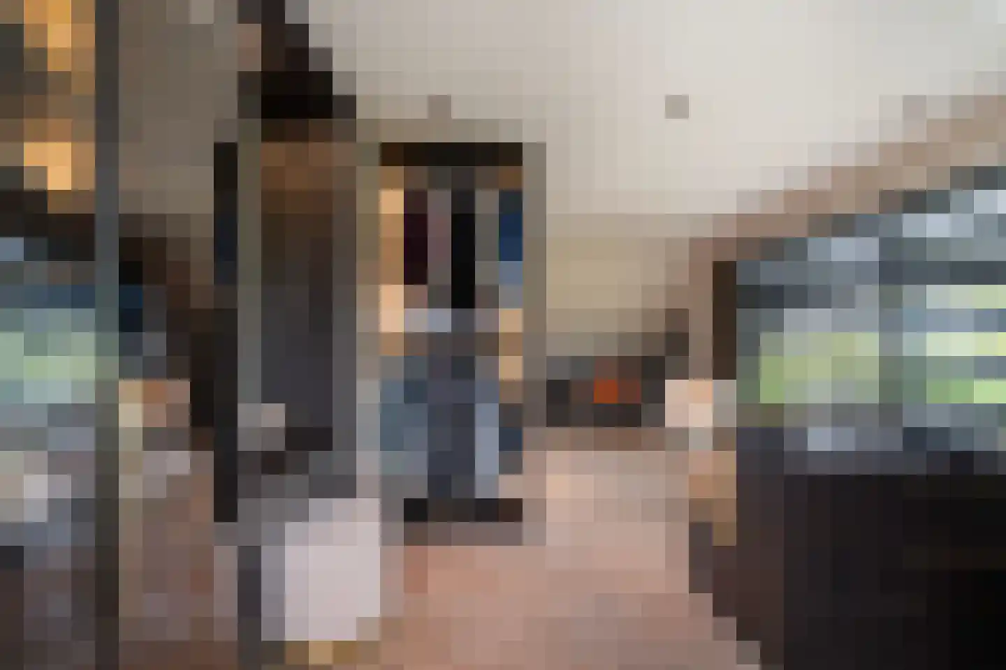 Achterdijk 5 b Rhoon thumbnail 38