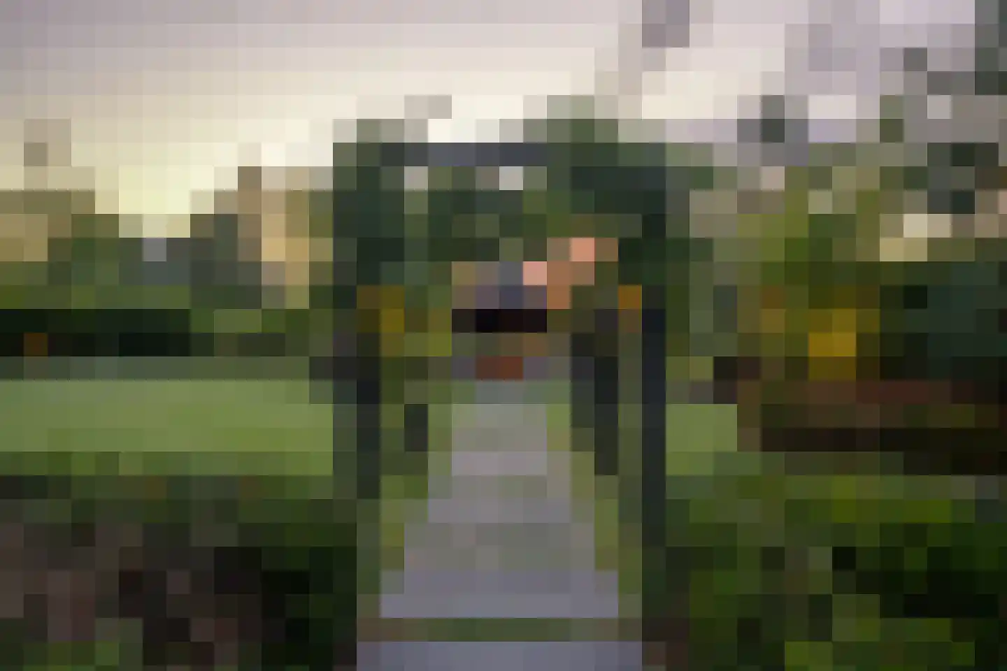 Achterdijk 5 b Rhoon thumbnail 76
