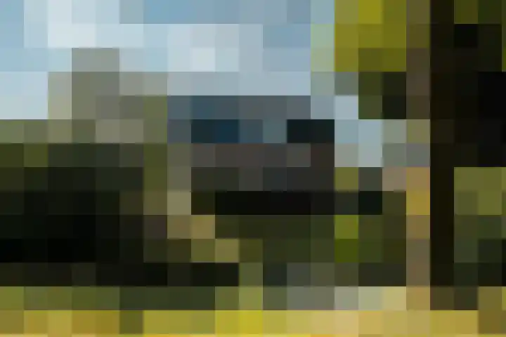 Achterdijk 51 Nieuwland thumbnail 4