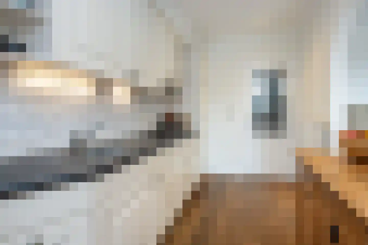 Achterdijk 51 Stad aan 't Haringvliet thumbnail 10