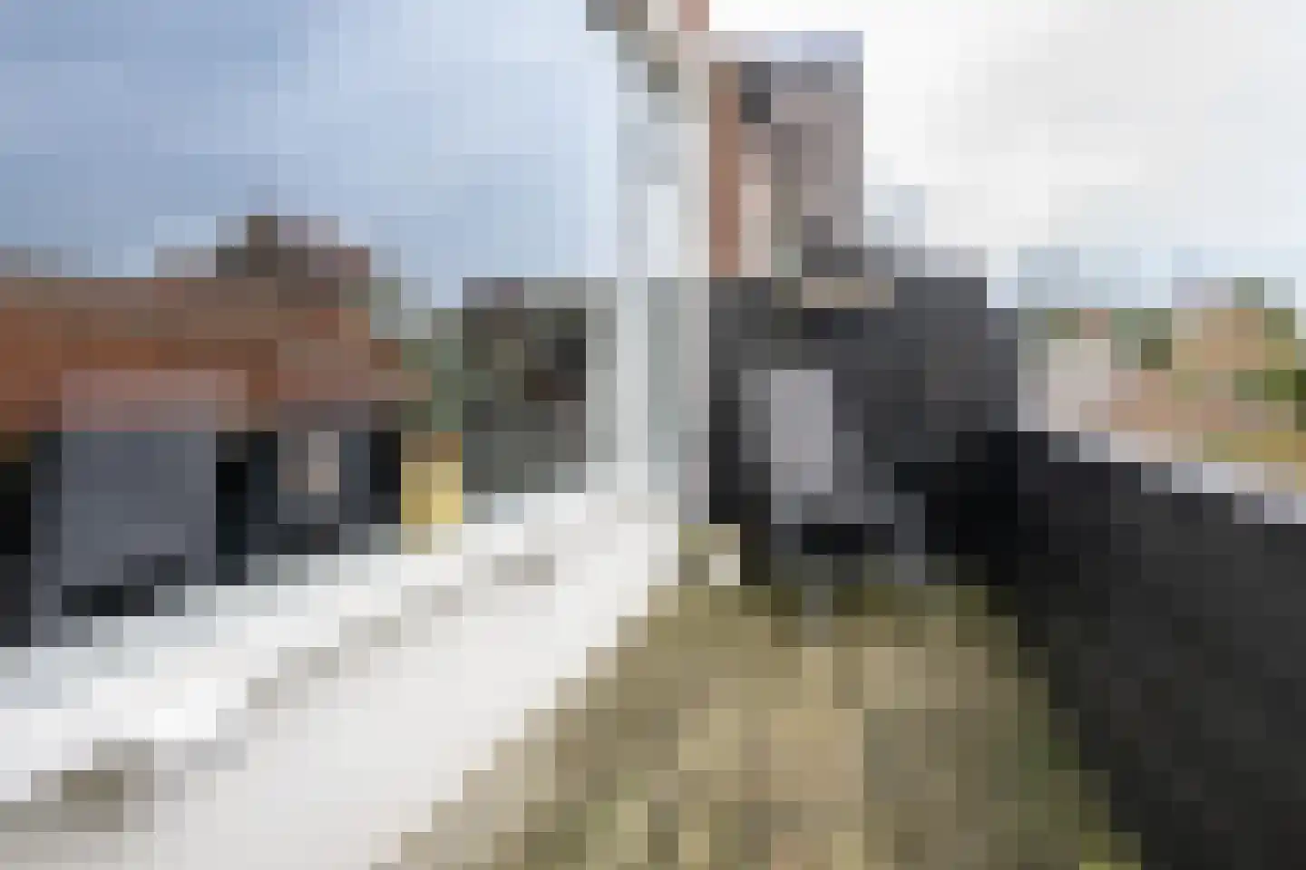 Achterdijk 51 Stad aan 't Haringvliet thumbnail 13