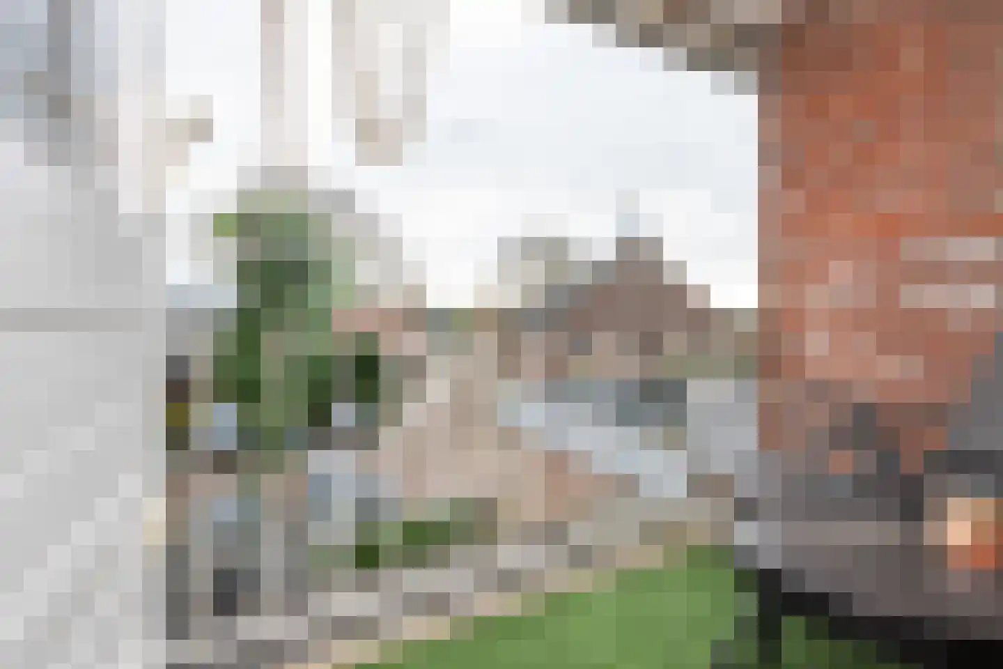 Achterdijk 51 Stad aan 't Haringvliet thumbnail 21