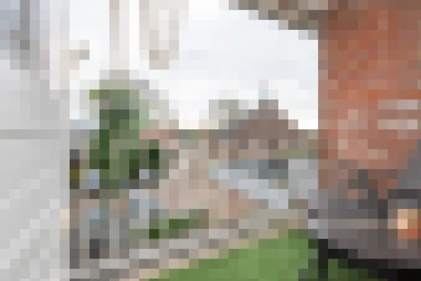 Achterdijk 51 Stad aan 't Haringvliet thumbnail 21